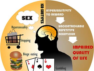 Medications, Deep Brain Stimulation, and Other Factors Influencing Impulse Control Disorders in Parkinson's Disease